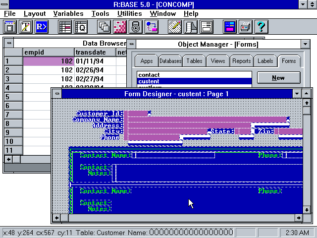 RBase 5.0 for Windows - Design