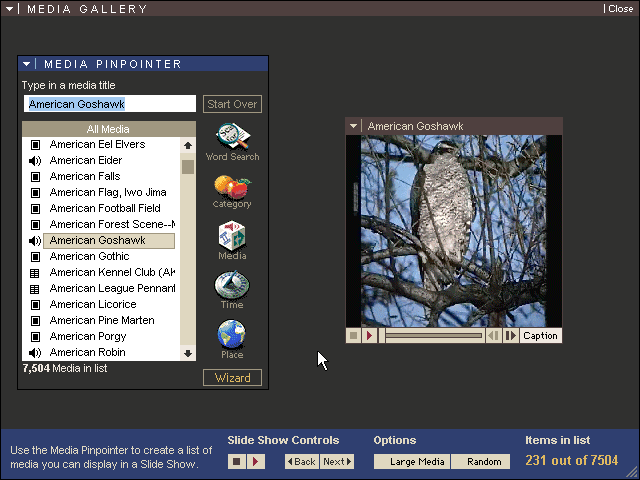 Microsoft Encarta 96 - Gallery